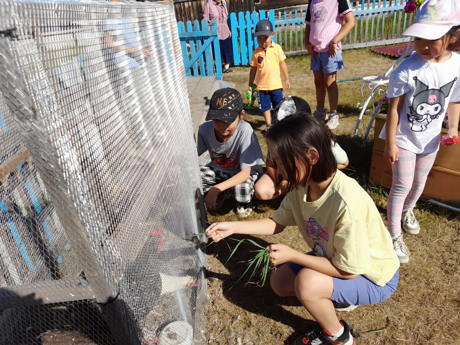 Хамаҕатта эбэлэрин үөрэҕэ — үйэлээх